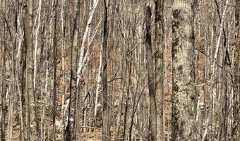 493 Wheeler Mountain Rd, Barton, VT 05822