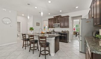3212 CALVANO Dr, Land O Lakes, FL 34639