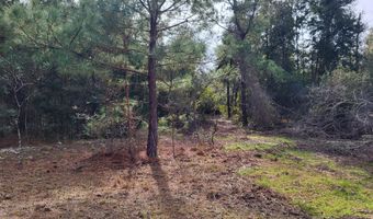 00 NW Tommy Tucker Rd Lot 1, Altha, FL 32421