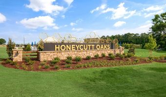 180 Honeydew Dr, Angier, NC 27501