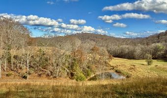 1520 Brittontown Rd, Afton, TN 37616