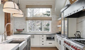 1271 Ute Ave, Aspen, CO 81611