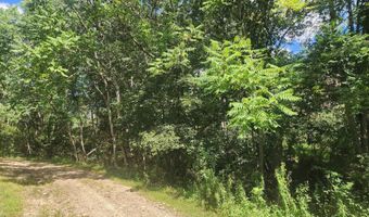 2 33 ACRES - AA ROGERS Rd, Augusta, WV 26704