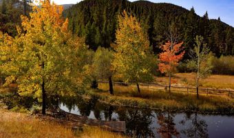 127 Lonely Moose Ln, Alberton, MT 59820