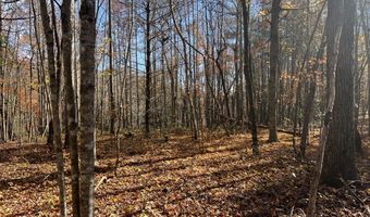 523 Honey Creek Loop Rd, Allardt, TN 38504
