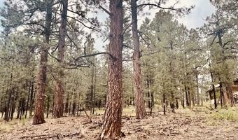 Lot 12 Sawmill Way Loggers Ridge, Angel Fire, NM 87710