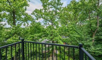 2321 N RICHMOND St, Arlington, VA 22207