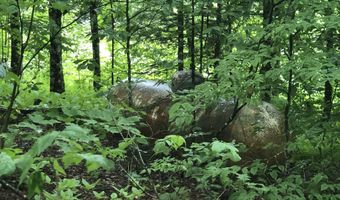 600 Bog Rd, Belvidere Center, VT 05442