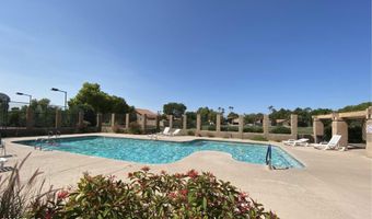 2626 N EL DORADO Pl, Chandler, AZ 85224