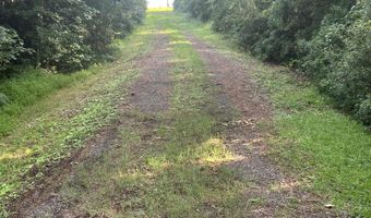 Strawhorn Creek Road lot 2 & 3, Aurora, NC 27806