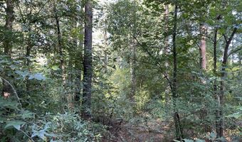 Highway 58, Baskerville, VA 23915