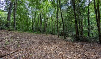 2 9 AC Chestnut Flats Rd, Andrews, NC 28901