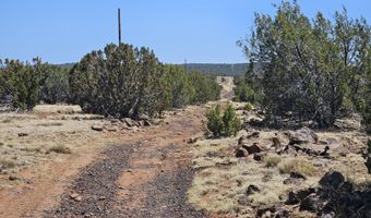 Tbd N8060, Concho, AZ 85924