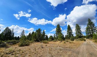 Swan Drive 16 & 17, Bonanza, OR 97623