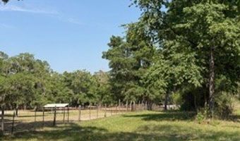 4760 NW 55th Ave, Bell, FL 32619