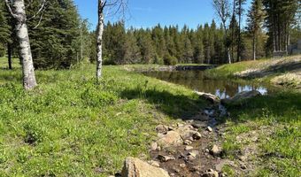 Tbd Sawtooth Loop, Cascade, ID 83611
