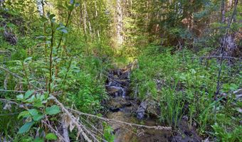 NNA Stone Rd Lot 2 20.0 Acres, Blanchard, ID 83804