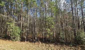 NE Fair River Drive, Brookhaven, MS 39601