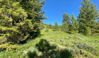 400 GROVER DRY FARM Rd, Afton, WY 83110