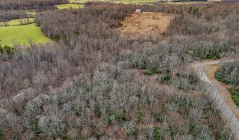 W Pheasant Chase lot 23, Ararat, VA 24053