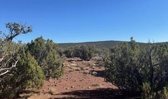 36 County Road N8487, Concho, AZ 85924