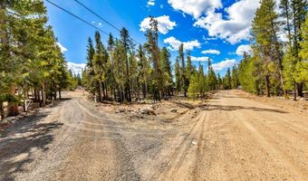 265 Placer Dr Lot 10, Alma, CO 80420