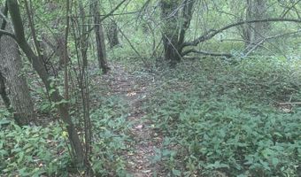 V/L Springhill Drive, Allegan, MI 49010