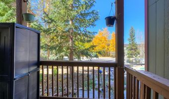 306 ILLINOIS GULCH Rd 113, Breckenridge, CO 80424
