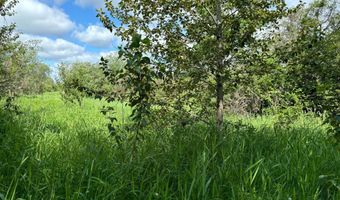 County Road 7, Bagley, MN 56621