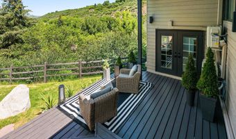 75 Bennett Ct, Aspen, CO 81611