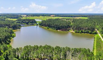 501 Southern Lks, Arabi, GA 31712