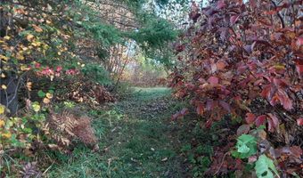 31538 County 23, Akeley, MN 56433