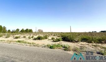Mcfarland Road, Carlsbad, NM 88220