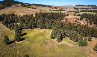 Tract 10 Lone Elk Ranch, Alva, WY 82711