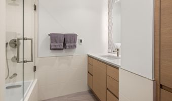 447 E Cooper Ave 1, Aspen, CO 81611