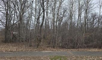L3 B2 288th Avenue NW, Baldwin Twp., MN 55398