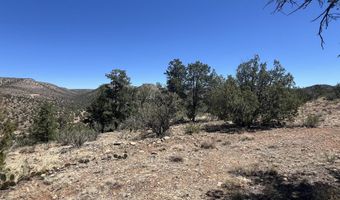 295 Old Deputy Shortline, Ash Fork, AZ 86320