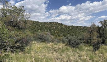 XY Black Dog Road, Silver City, NM 88061