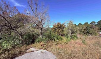 HWY 167, Bald Knob, AR 72010
