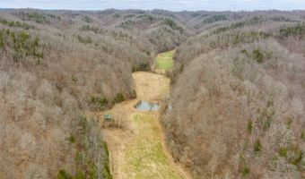 Willis Creek Rd, Albany, KY 42602