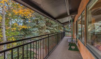 731 S Mill St 3A, Aspen, CO 81611