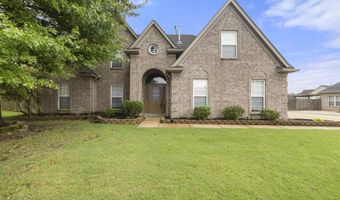 11199 BERNADETTE Cv, Arlington, TN 38002