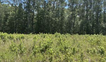 Highway 17A, Bonneau, SC 29431