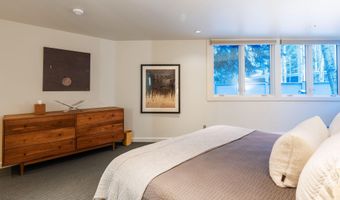 506 W Hallam St, Aspen, CO 81611