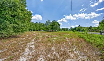 3302 Concord Church Rd, Allendale, SC 29810