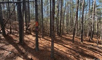 12 68 Acre 99 Rd, Blair, SC 29015