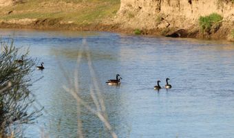 NHN Tongue River Rd, Ashland, MT 59003