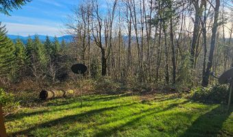 43911 NE COLUMBIA TIE Rd, Amboy, WA 98601