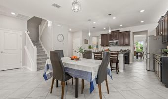 3212 CALVANO Dr, Land O Lakes, FL 34639