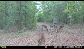 4814 NW 244 Ave, Alachua, FL 32615